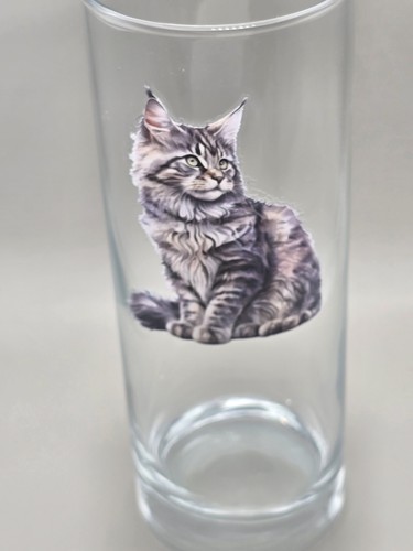 Tabby maine coon cat - cat, kitten