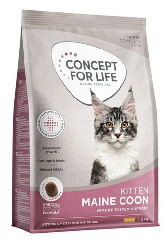 Concept for life maine - concept,