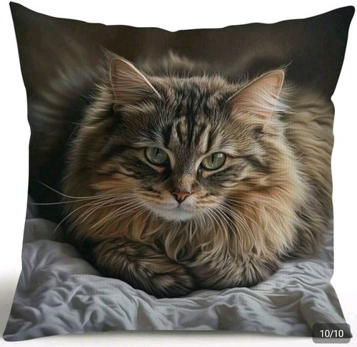 Printed maine coon kitten - printed,