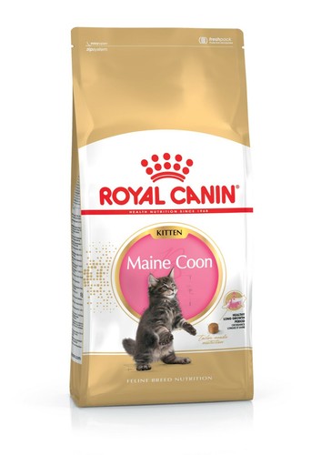 Royal canin maine coon - royal,