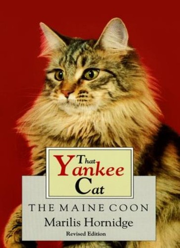 That yankee cat - yankee, maine