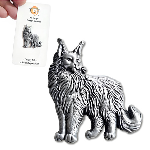 Maine coon cat - maine, pewter