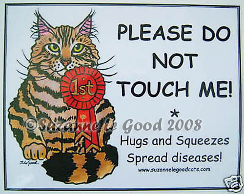 Maine coon cat art - maine,