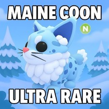 NEON MAINE COON (NEW) ADOPT A