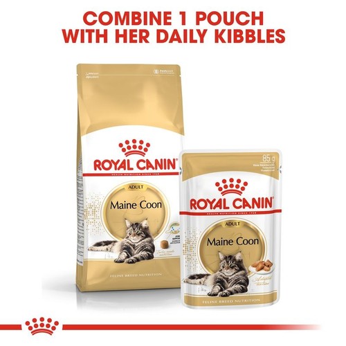 Royal canin maine coon - royal,