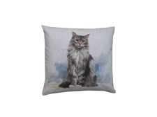 Cushion covers gift Maine coon