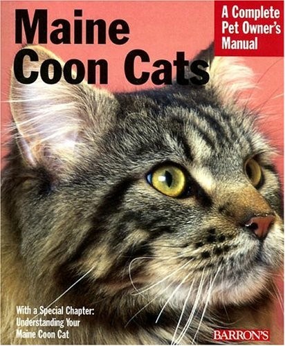 Maine coon cats complete - cats, (complete