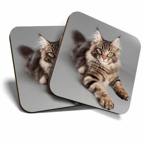 Coasters cute maine - 2, x