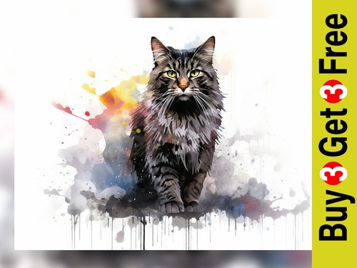 Majestic grey maine coon - maine,