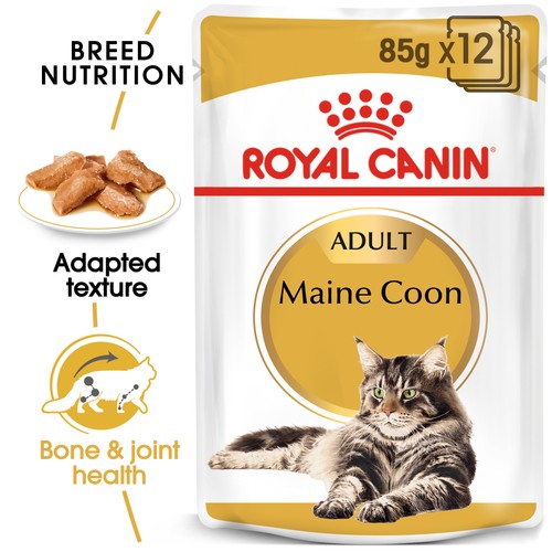 Royal canin maine - coon, adult