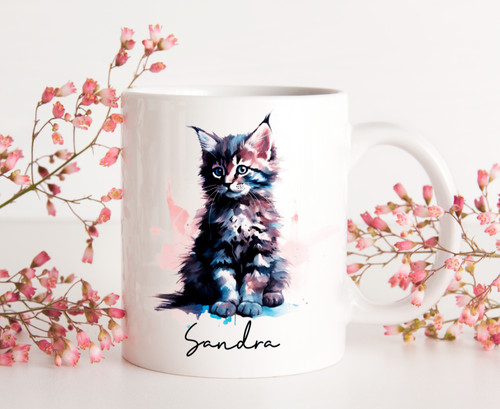 Free post maine coon cat - maine,