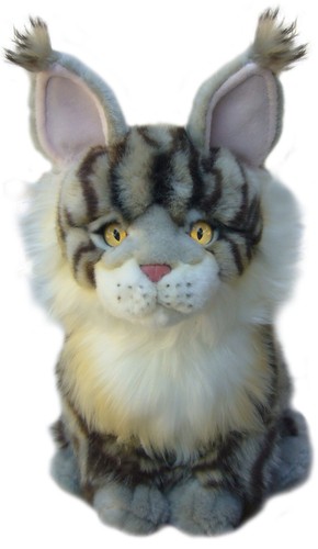 Maine coon cat teddy - 12",