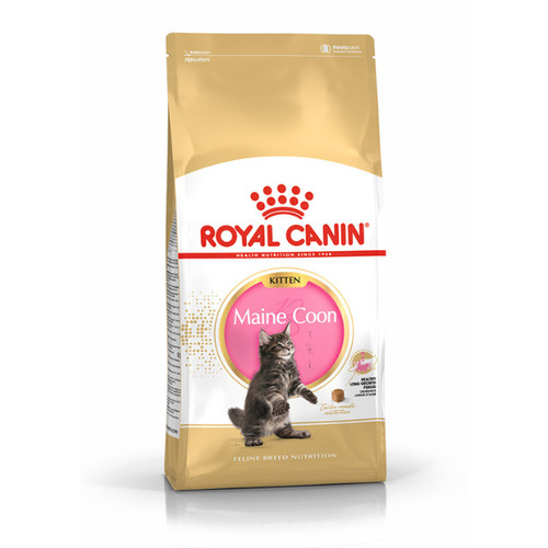 Royal canin kitten maine - kitten, coon