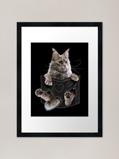 Funny Maine Coon Cat in Pocket