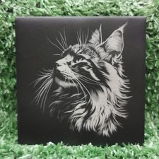 Slate Coaster/ Maine Coon