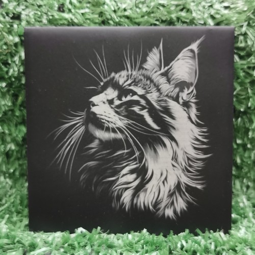 Slate coaster maine coon - slate,