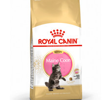 ROYAL CANIN MAINE COON KITTEN