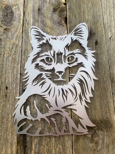 Maine coon cat - maine,