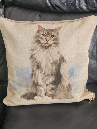 Maine coon cat duck down - coon,
