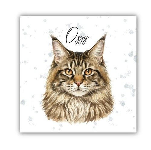 Maine coon cat personalised - maine,