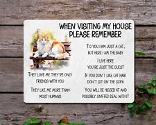 Maine Coon Cat Metal Sign Gift
