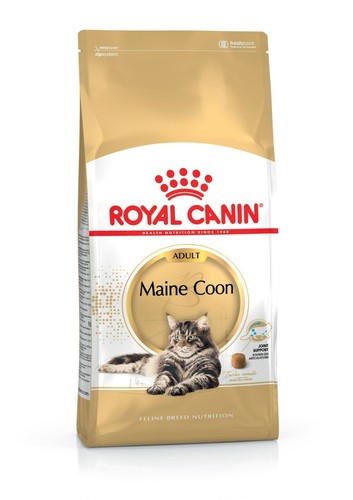 Royal canin maine coon adult - royal, canin®